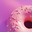 TernPixel