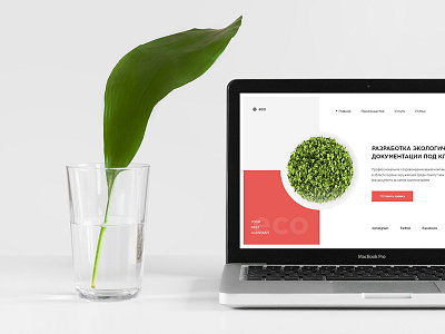 Website for ECO company color e commerce minimalism shot ui userinterface ux web
