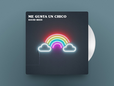 Album cover - Me Gusta Un Chico by David Rees