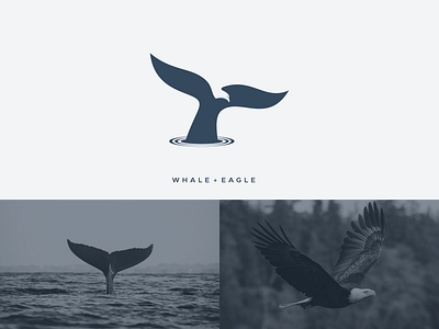 WHALE + EAGLE 3d animation artchiles design artwork brand branding design eagle graphic design illustration logo logodesign logos motion graphics simple ui vector whale