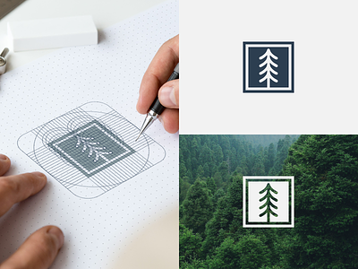 Pine minimal 3d animation artwork brand branding design graphic design illustration logo logodesign minimal motion graphics pine simple ui vector