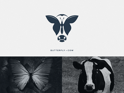 Butterfly + Cow