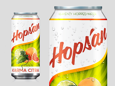 Hopsan branding brand branding logo