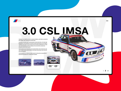 BMW CSL IMSA