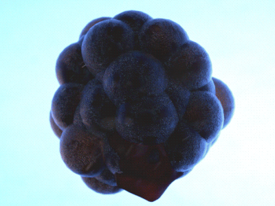 Virus c4d macro micro microscope virus