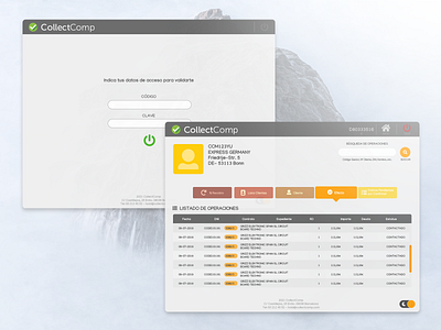 Snow Interface for accounting app app design css grid flexbox interface login screen