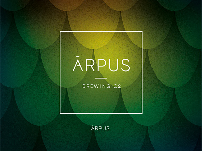 ĀRPUS Brewing Co. | Branding and Label Design beer bottle branding craft design identity label packaging product