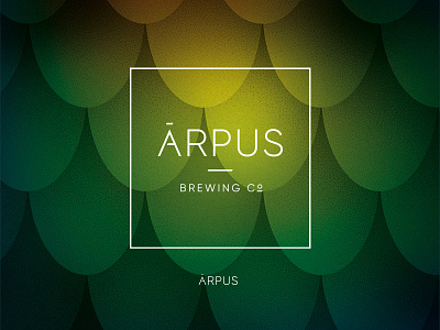 ĀRPUS Brewing Co. | Branding and Label Design