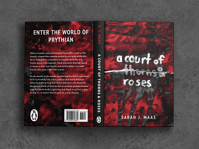 Book Cover Design 1 acotar back book cover dark design dramatic front grey hard hardcover mockup paper print red rip spine texture
