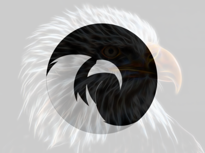Eagle Logo animal branding design designer eagle logo logo design mark symbol ux design