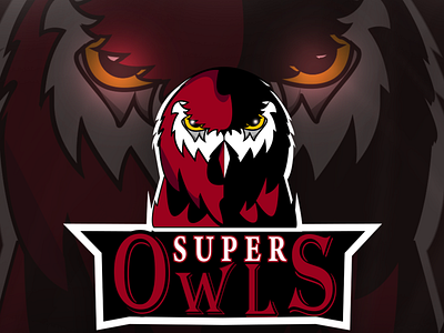 owls logo animal bird branding design designer logo logo design mark owl symbol