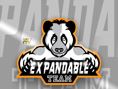 Team expandable