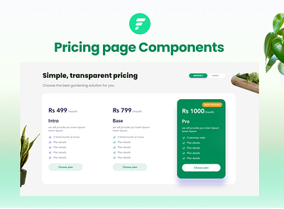 Pricing Page design ui ux website