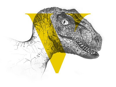 V for Velociraptor alphabet dinosaur handdrawn illustration jurassicpark pencil sketch type v velociraptor