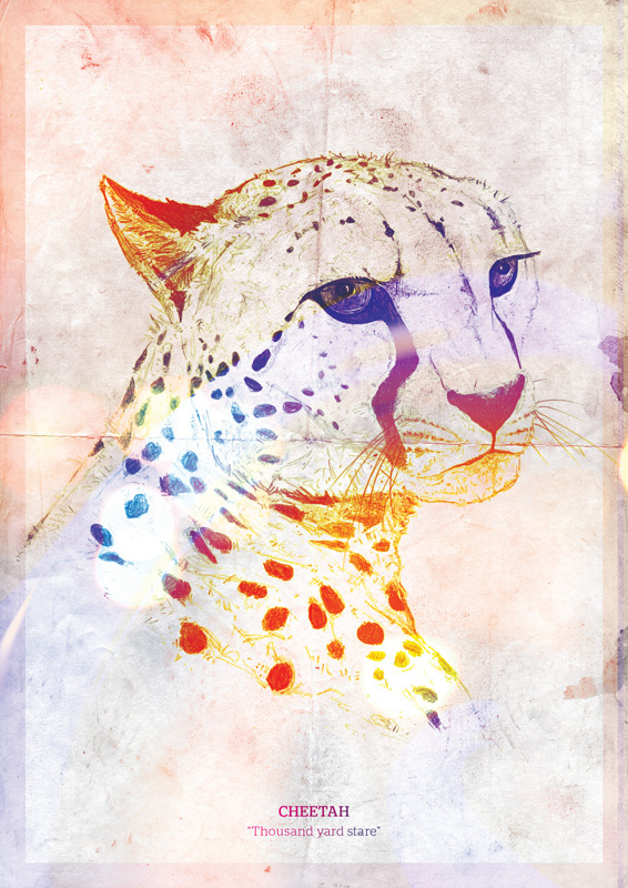 Dribbble - cheetah-colours.gif by Martin Roberts
