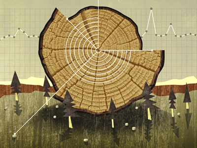 Forest Management chart datavis forest infographic tree wood