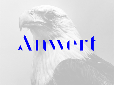 Anwert Logotype agency logo logotype