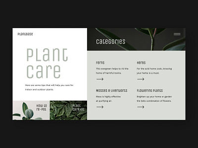 PlantBase design challenge figma plant care plants ui ui design