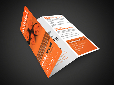 Tri Fold Brochure illustrator