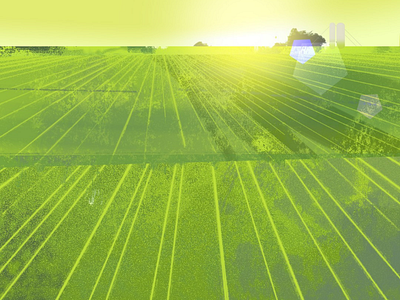 Mornings art background crop field illustration mornings photoshop texture vector