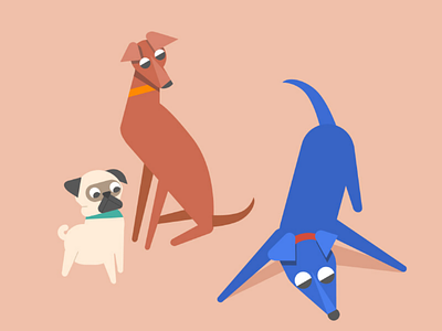 Sniff! character dog illustration motion design motion graphics photoshop