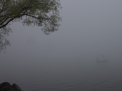 Winner Cropped Competition - Photography 1 Final barge fog lake geneva photography tree
