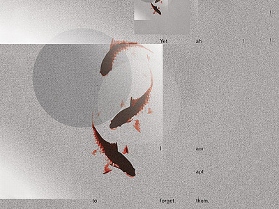 Thesis Project - Goldfish by Kijiro goldfish haiku kijiro thesis project