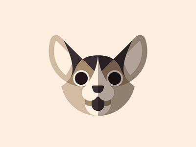 Dog Face Series - Corgi animal character design corgi cute dog face illustration pet vector