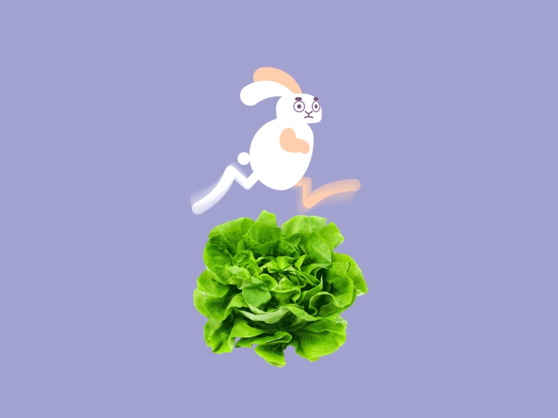 Super speedy bunny 2d animal animation bunny character character design design flat gif illustration minimal motion motion design motion graphics rabbit run run cycle running salad vector