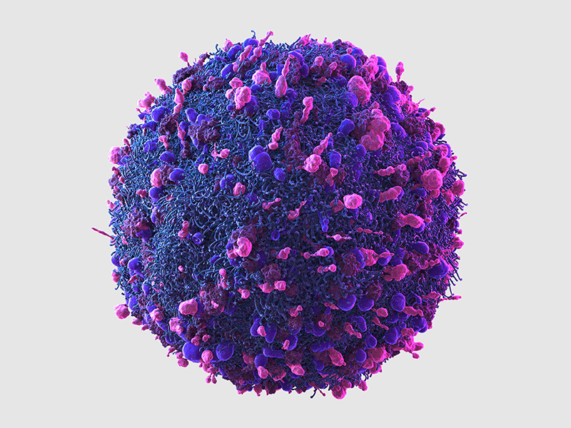 Cell illustrations 3d bio cells fat frozen cells illustrations immunotherapy medicine tissue