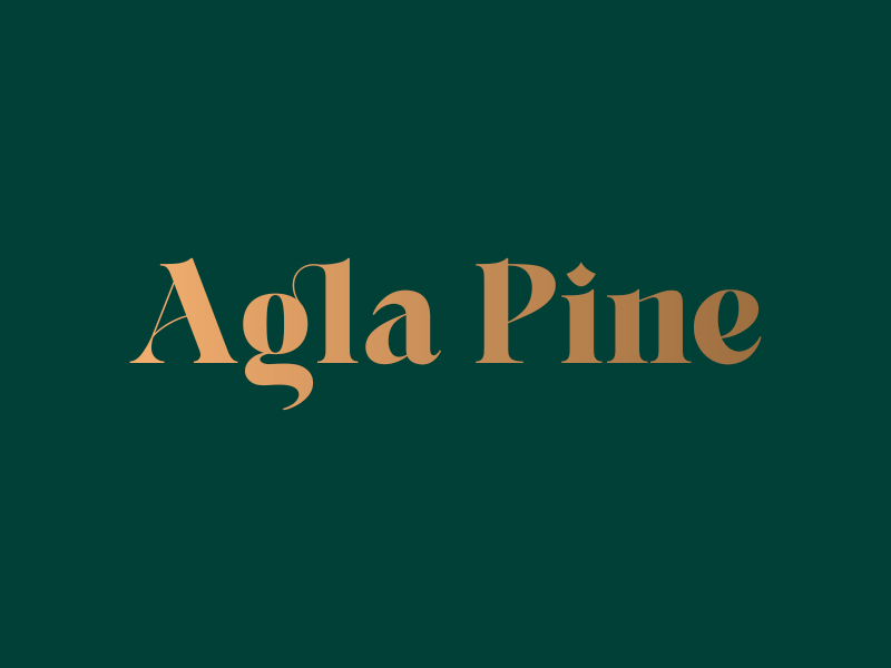 Agla Pine wordmark branding cone curly font custom type design egle fashion branding fashion logo golden letters graphic design logo logotype pine pine tree pinecone swimsuit brand typography wordmark