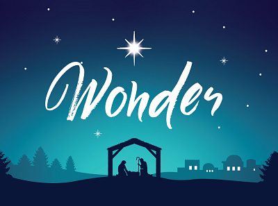 Christmas Wonder bethlehem christmas concept manger nativity pines sky star trees wonder