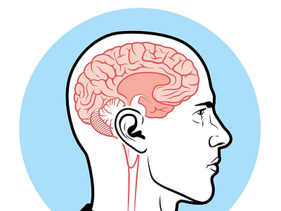 Brain Waves artdirector brain branding creative cut away design editorial graphicdesign illustrator lineart medical portrait tech vector vectorart