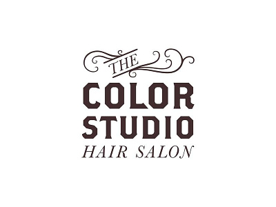 The Color Studio Hair Salon Logo brand concept brand identity branding branding design design design process hair salon hair salon logo lettering logo stacked logo vector