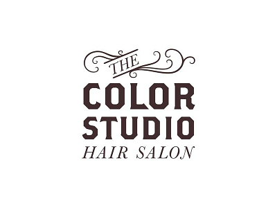 The Color Studio Hair Salon Logo