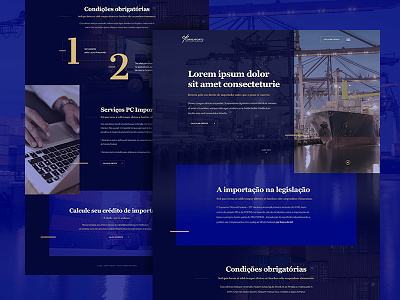Landing Page - Correa Porto advocacy hot site importation interface landing page law site website