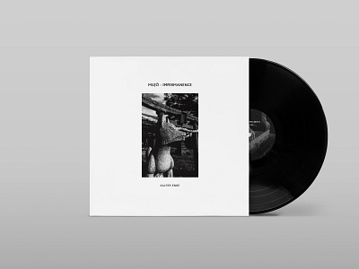 EP Cover Design for Kalter Ende: Mujo - Impermanence brookyn ep japanese japanese art madrid new york photography record cover spain techno artist techno label vinyl