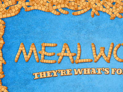 Mealworms illustration typography