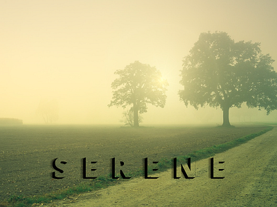 Serenity design photgraphy styling typography