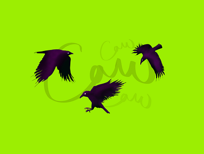 Caw illustration procreate typography