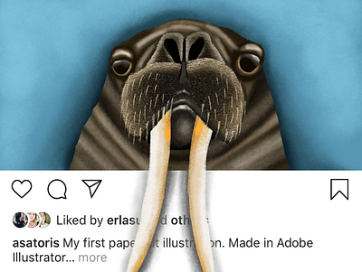 Walrus on Insta illustration procreate procreate art walrus
