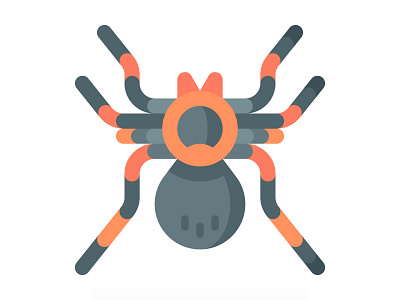 Spider icon animal icon arachnid arthropod halloween icon icon design insects pet pet shop spider spider icon tarantula