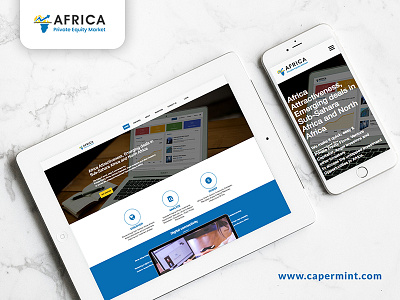 Africa Private Equity Website Design & Development equity finance landing market page ui ux website