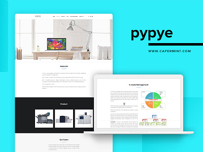 PYPYE Website colors design grids layout ui ux waste management website