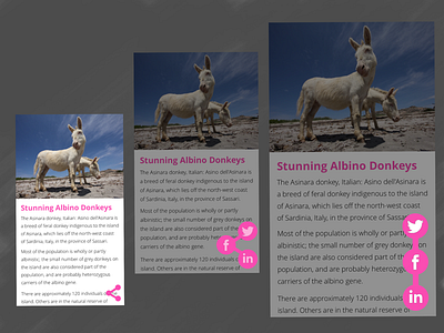 Day 010 - Social Share albino albino donkey article blog buttons dailyui facebook linkedin. asinara mobile mobile first share social social share twitter