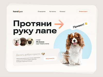 Dog shelter website animal dog dogs glassmorphism help landing page ui uxui web web design