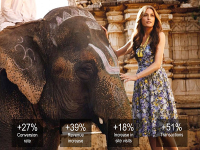 Web Google Analytics analytics conversionrate ecommerce elephant fashion fashionbrand googleanalytics results revenue transactions userexperience ux