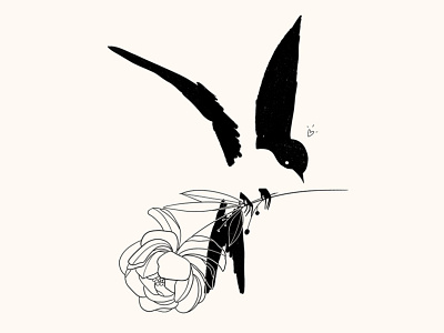 Inktober - Swallow bird drawing editorial engraving flower fly illustration inktober peony procreate sketch swallow
