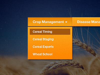 Simple Drop-Down Menu Design web design menu orange agriculture