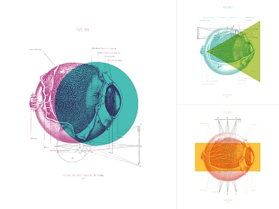 Eye Collage Prints collage color eye eye care eyeballs eyes offie art ophthalmology optometry print prints vision vision care